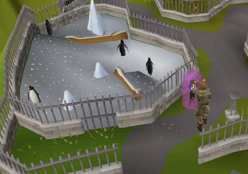 Kgp Id Card Osrs